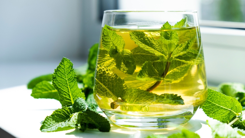 Trà xanh – “lá thuốc” chống lão hóa tự nhiên